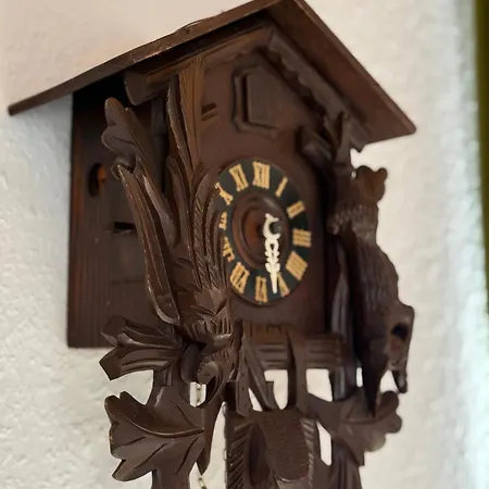 Apartamento Wildneschd - Zentral & Schwarzwald Inklusive *